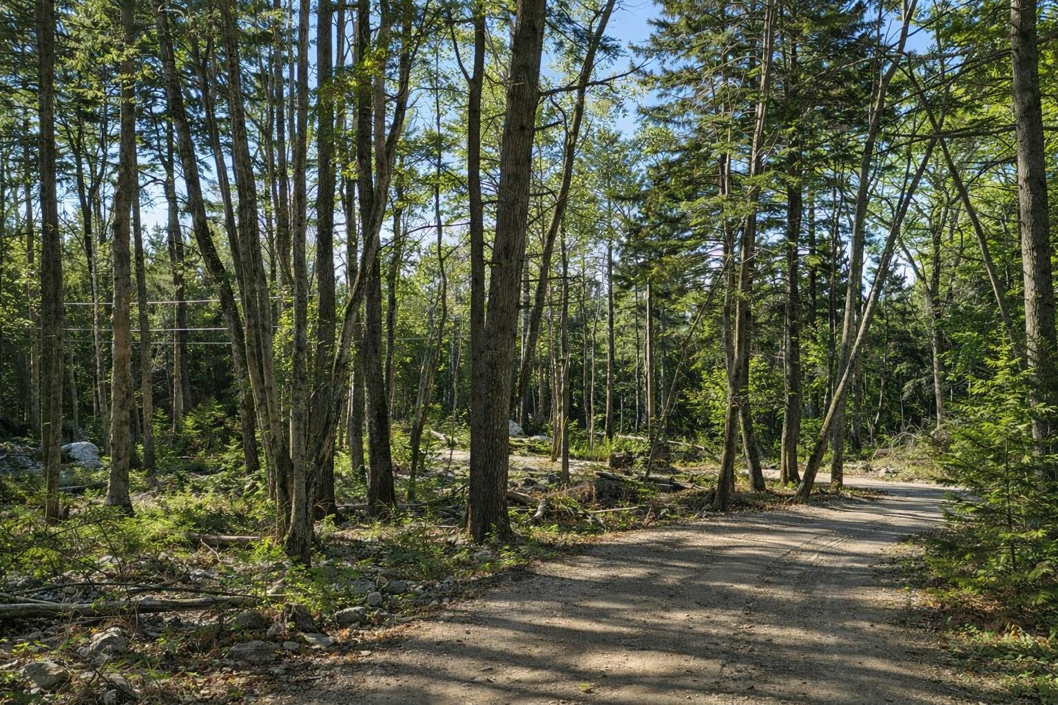 M4-l89-e Fiske Lane Pemaquid, ME 04558 - Photo 28 of 31 ChatGPT Image Apr 12, 2026 at 06_54_51 P