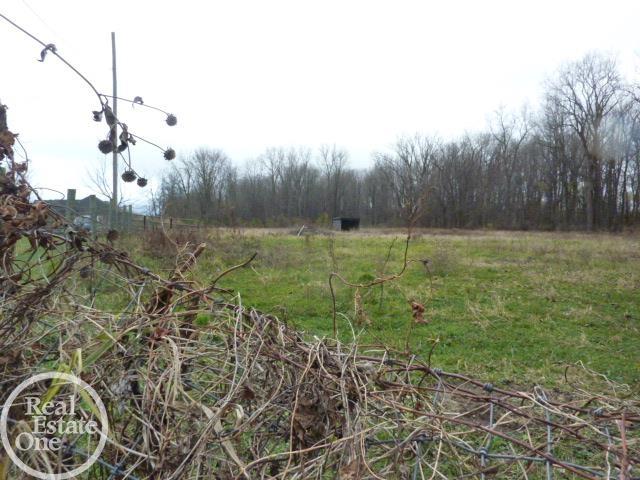 47635 Sugarbush Road New Baltimore, MI 48047 - Photo 15 of 22 50162054-cf1892ad-24c4-4ce4-a3da-d2c36abcd19f.JPG