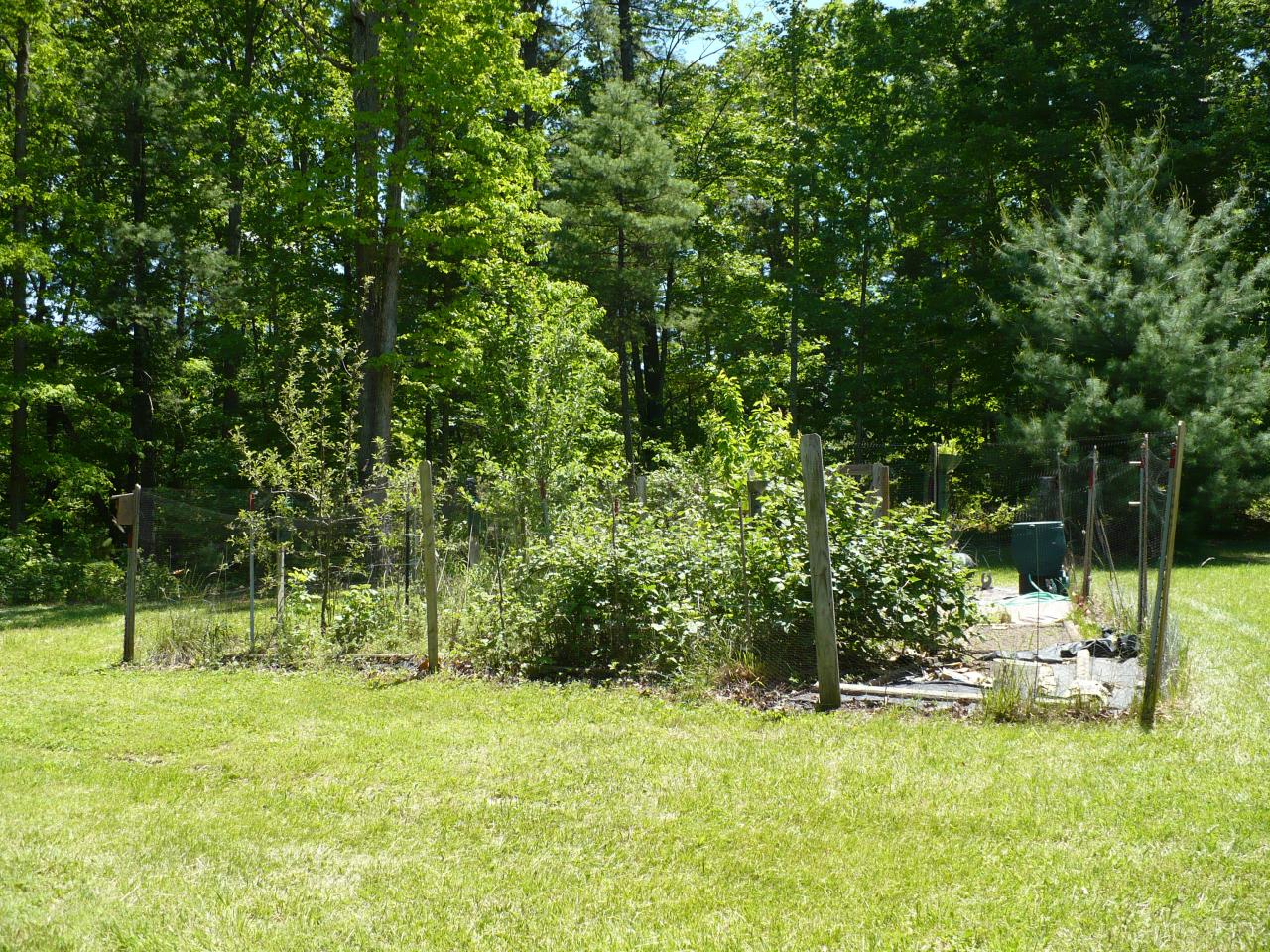 363 Paint Bank Road New Castle, VA 24127 - Photo 23 of 24 Garden Space