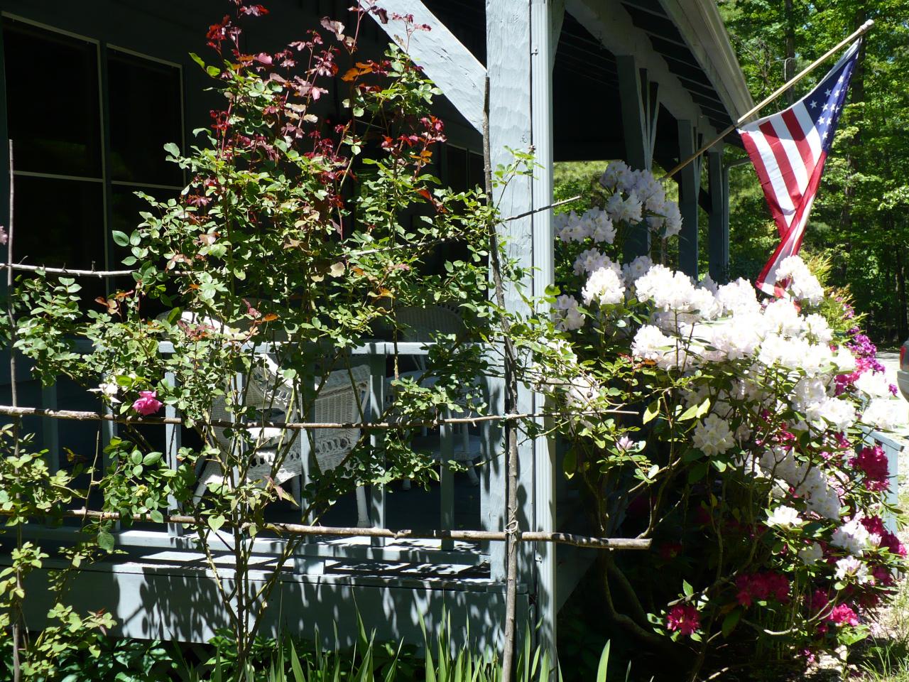 363 Paint Bank Road New Castle, VA 24127 - Photo 4 of 24 Beatiful Flowers