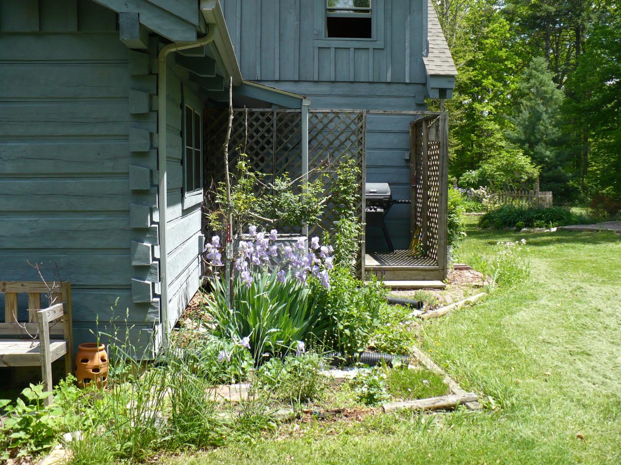 363 Paint Bank Road New Castle, VA 24127 - Photo 7 of 24 Rear View