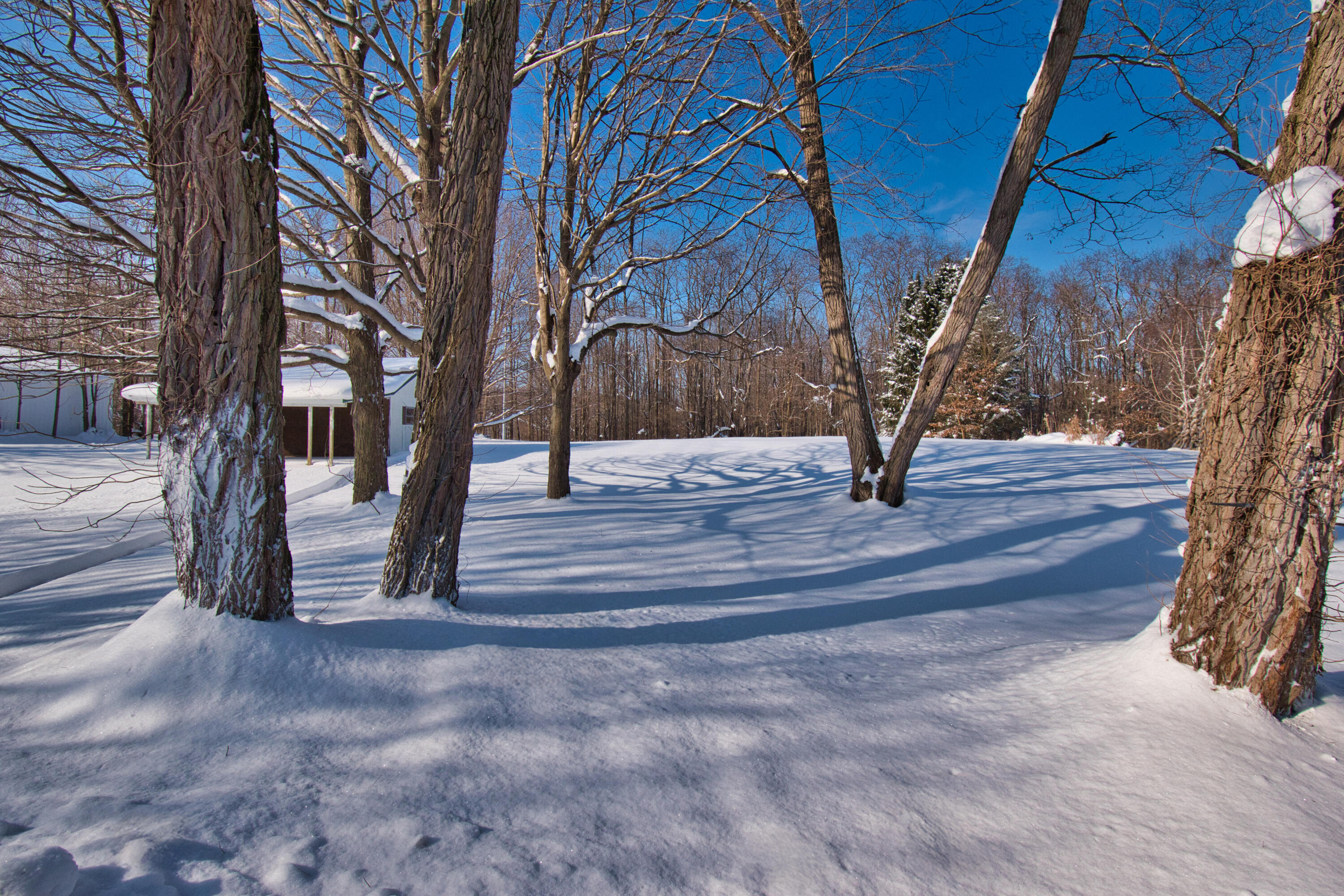 1718 Barron Lake Road Niles, MI 49120 - Photo 11 of 31 DSC_0409
