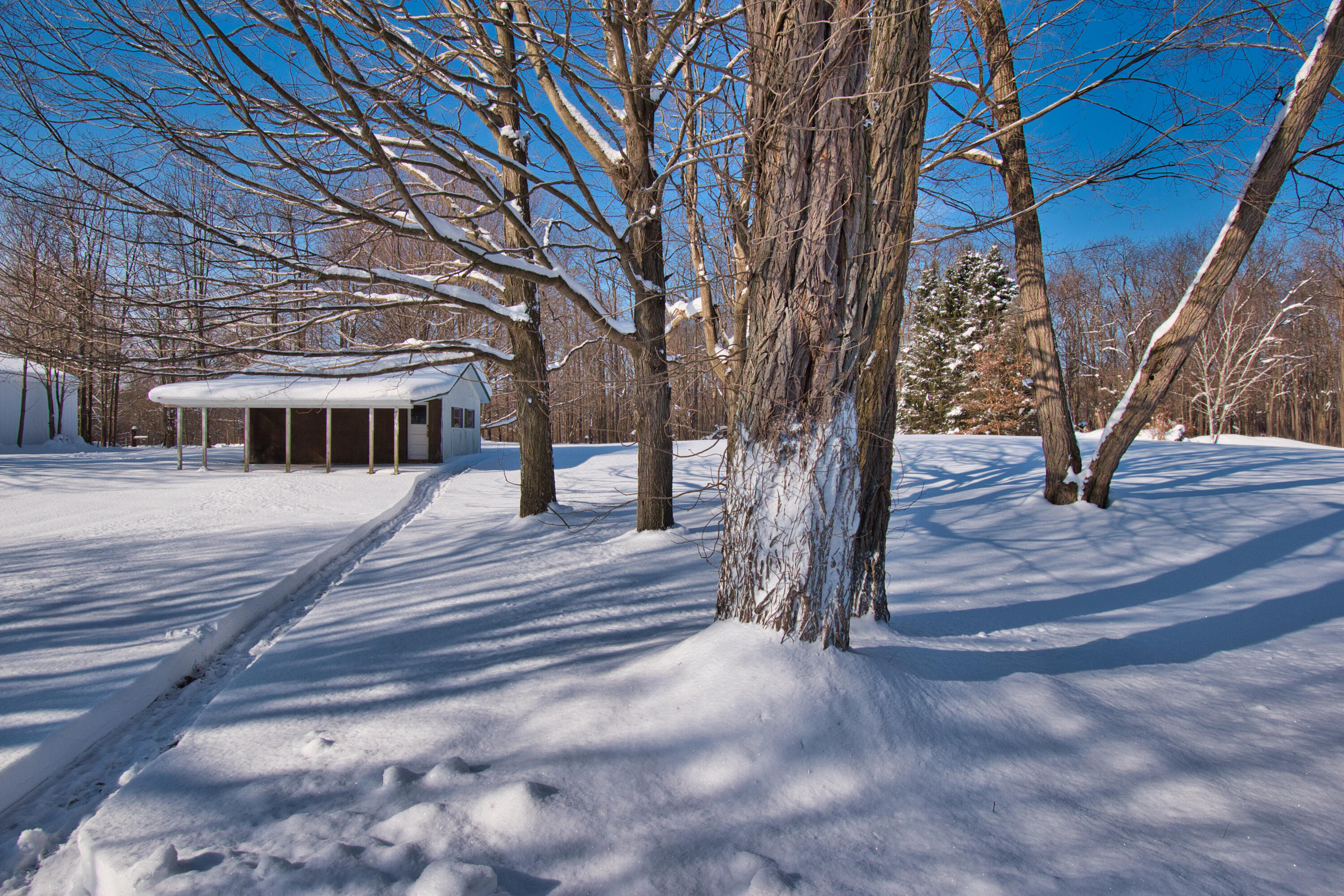 1718 Barron Lake Road Niles, MI 49120 - Photo 12 of 31 DSC_0410