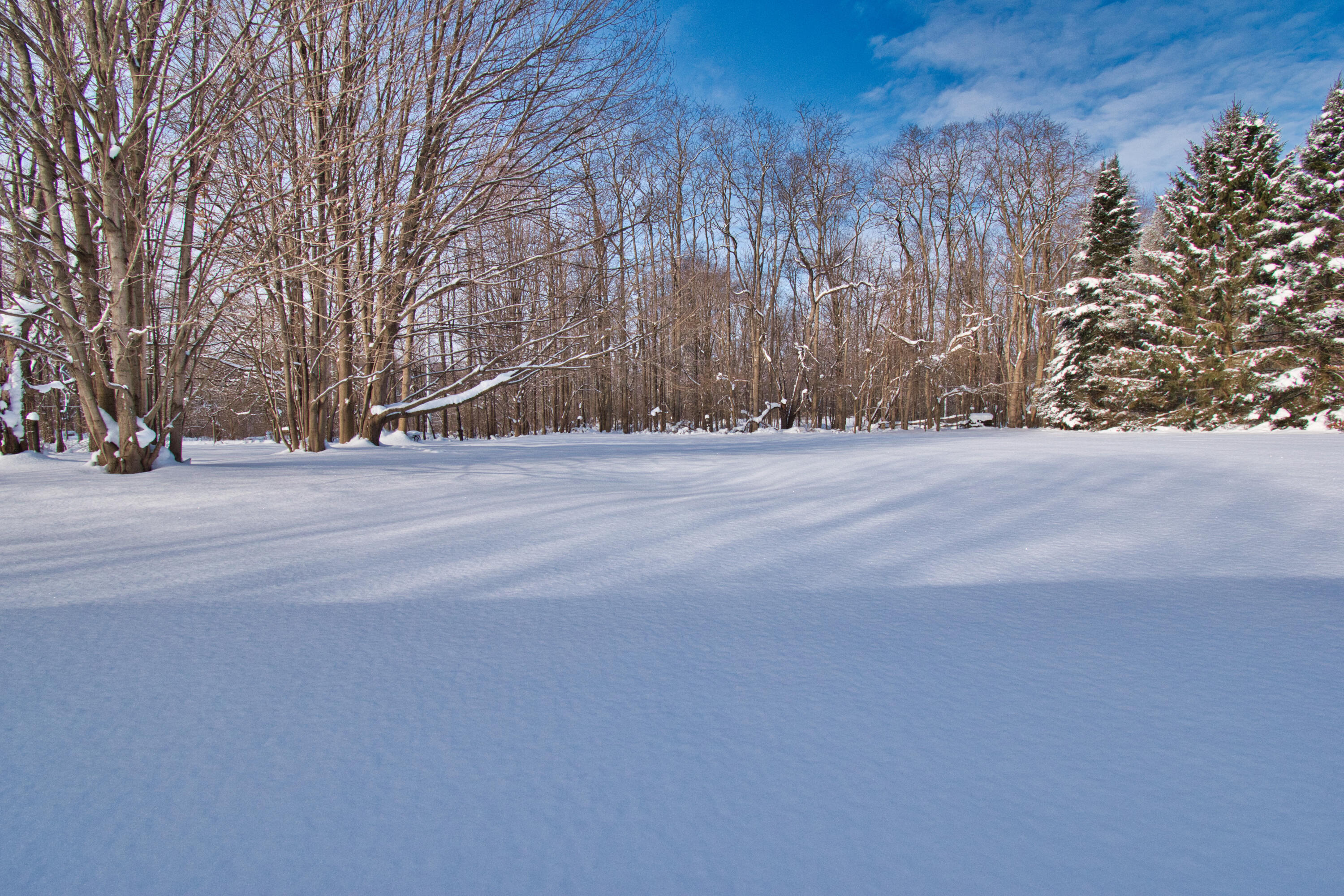 1718 Barron Lake Road Niles, MI 49120 - Photo 7 of 31 DSC_0388