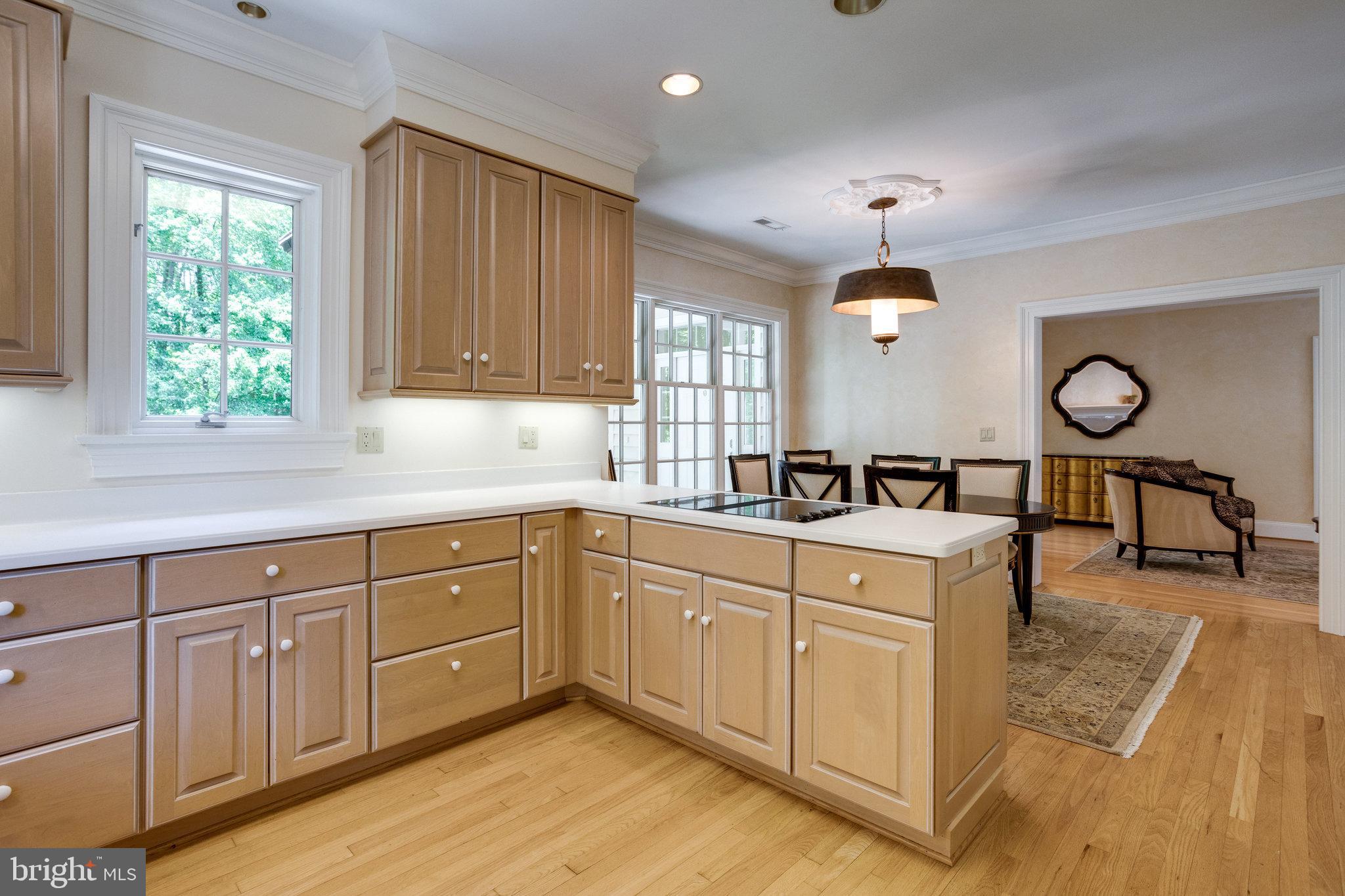 12307 Glen Road Potomac, MD 20854 - Photo 100 of 113