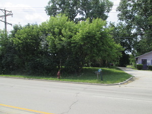 20406 North Rand Road Palatine, IL 60074 - Photo 2 of 2