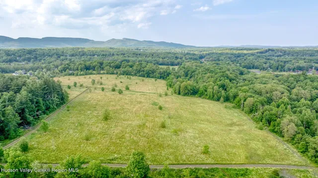 a view of a house with backyard and a large tree