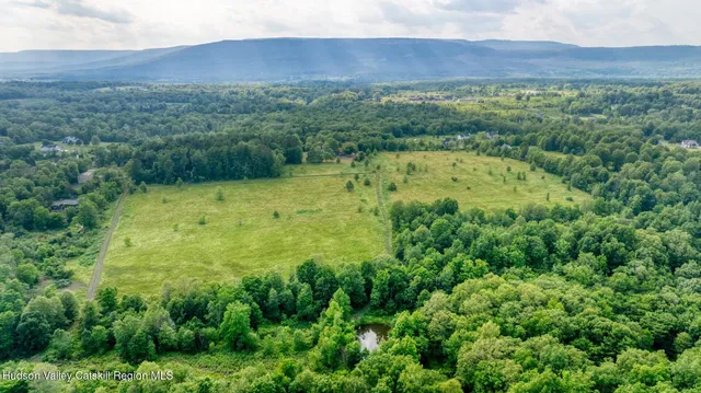 a view of a green field with lots of bushes