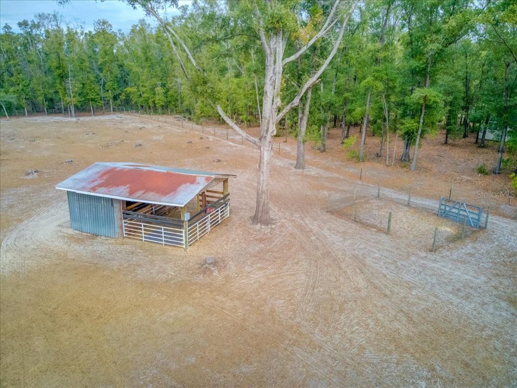 3351 208th Street Wellborn, FL 32094 - Photo 40 of 47