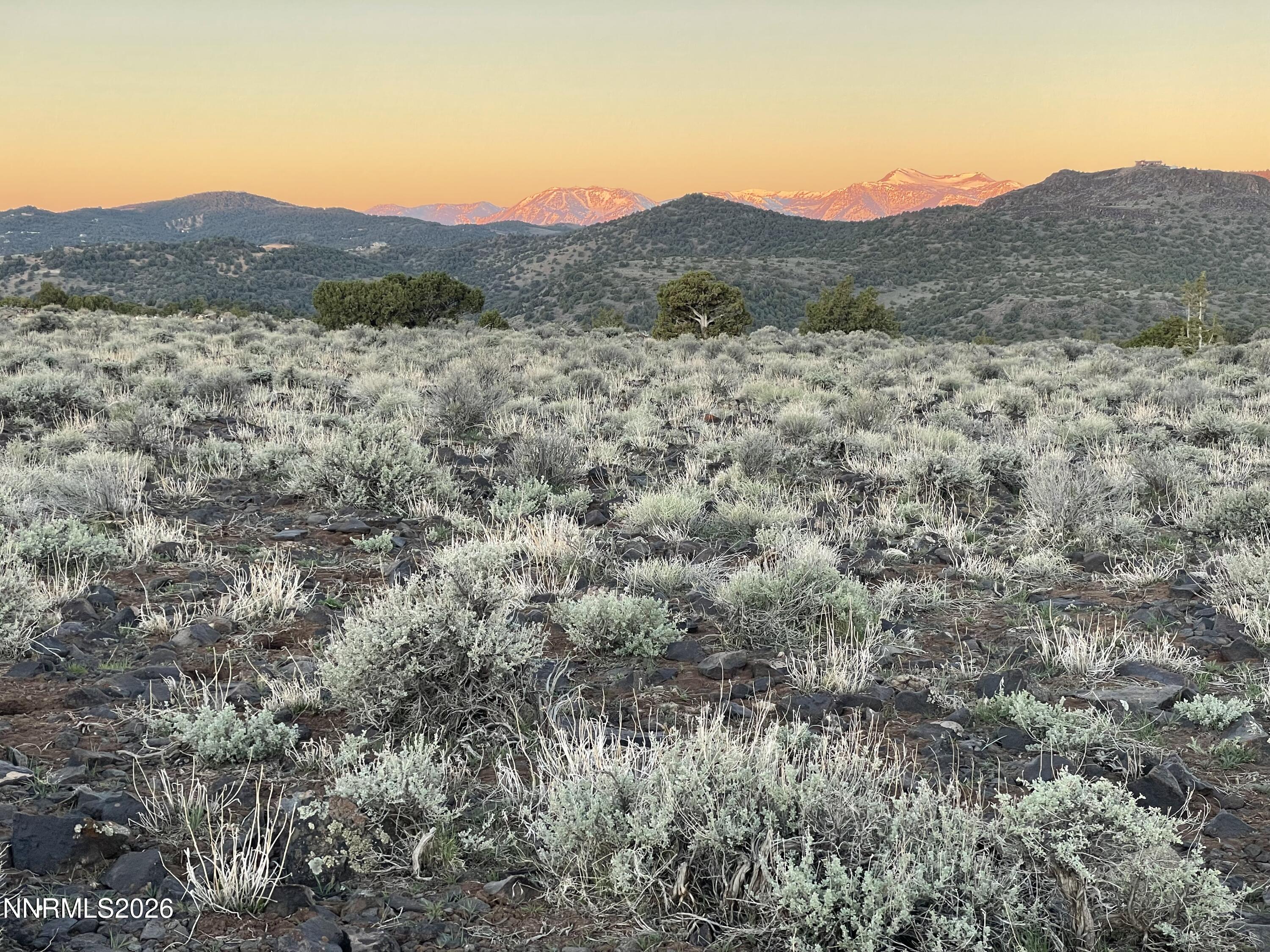 6600 Goldfield Road Reno, NV 89521 - Photo 15 of 23 a view of a forest with mountains in the background