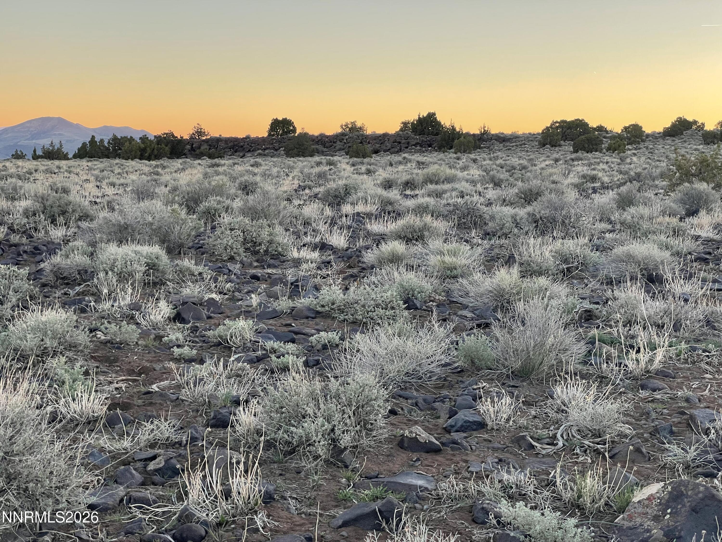 6600 Goldfield Road Reno, NV 89521 - Photo 16 of 23 a view of a large mountains in a field