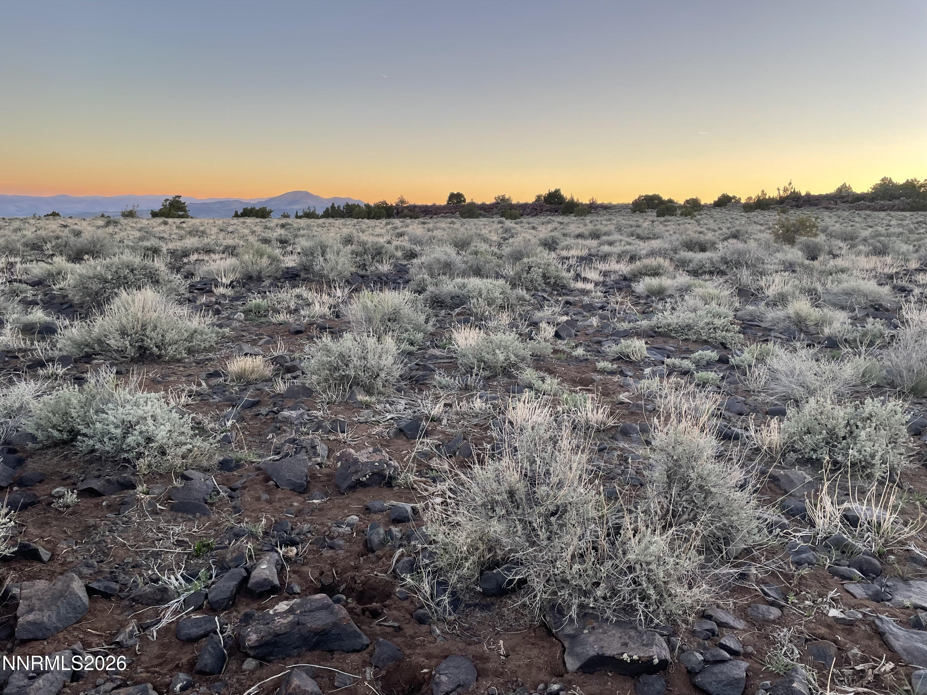 6600 Goldfield Road Reno, NV 89521 - Photo 17 of 23 a view of a mountain in a field