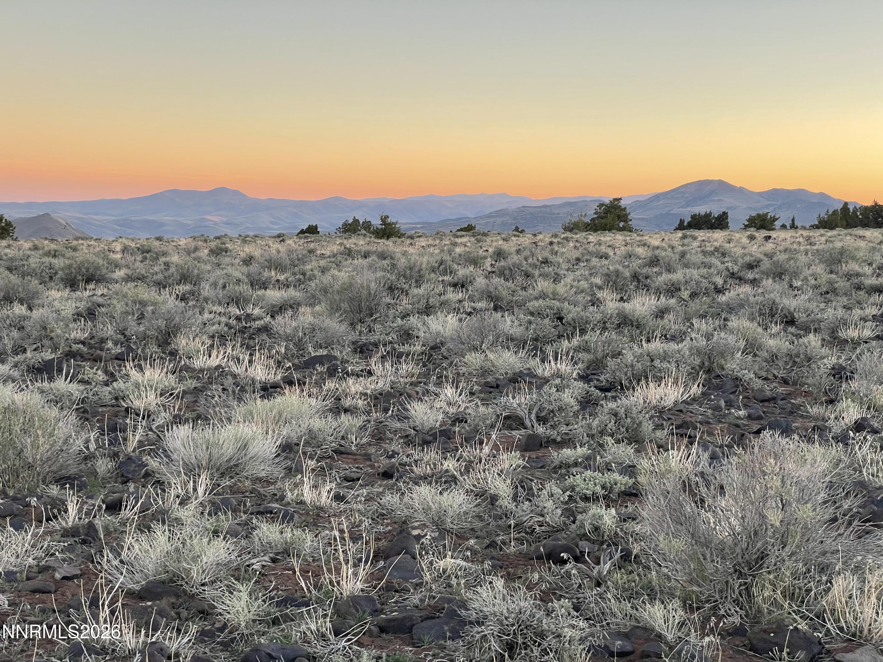 6600 Goldfield Road Reno, NV 89521 - Photo 18 of 23 a view of a dry field