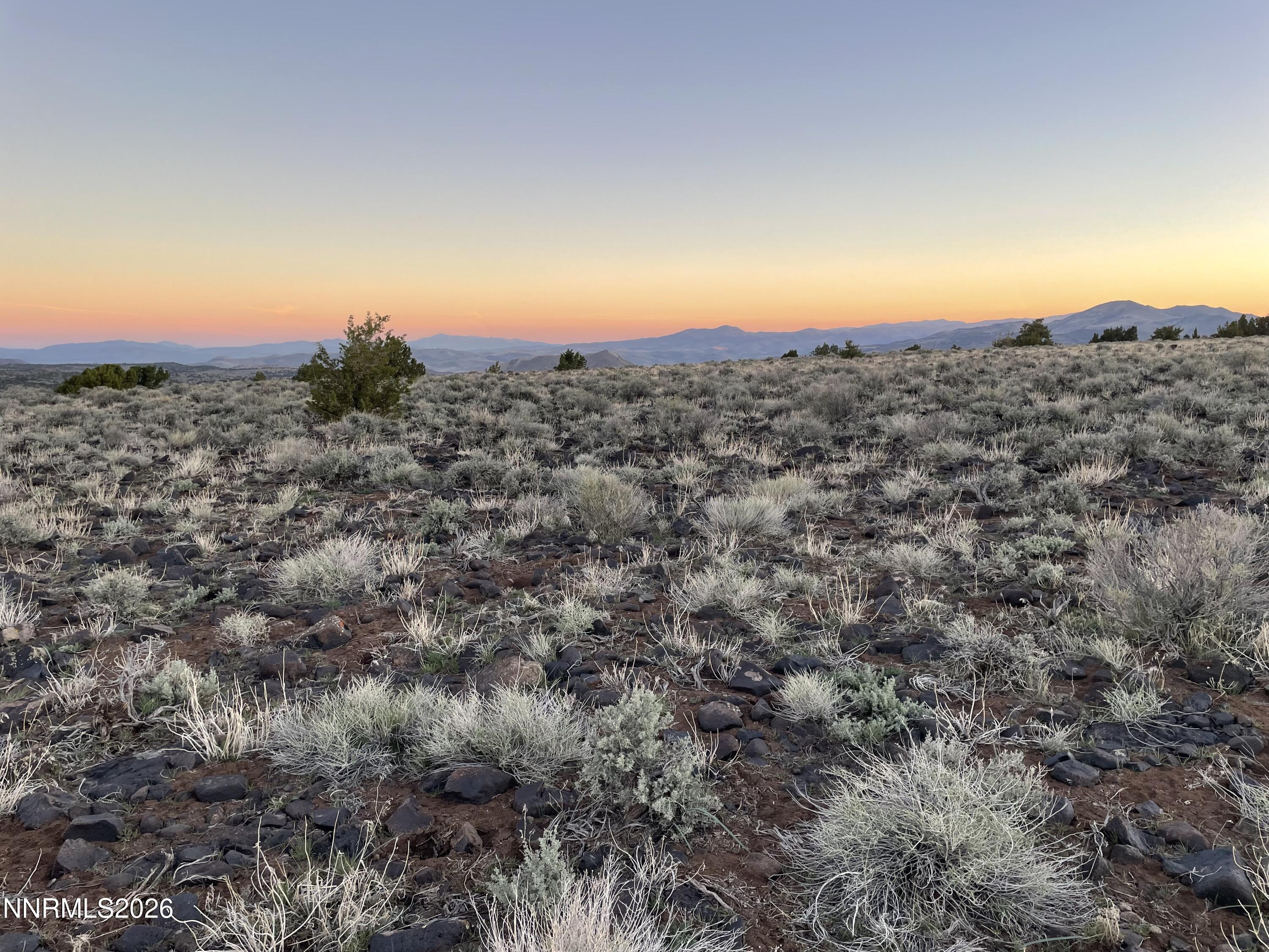 6600 Goldfield Road Reno, NV 89521 - Photo 19 of 23