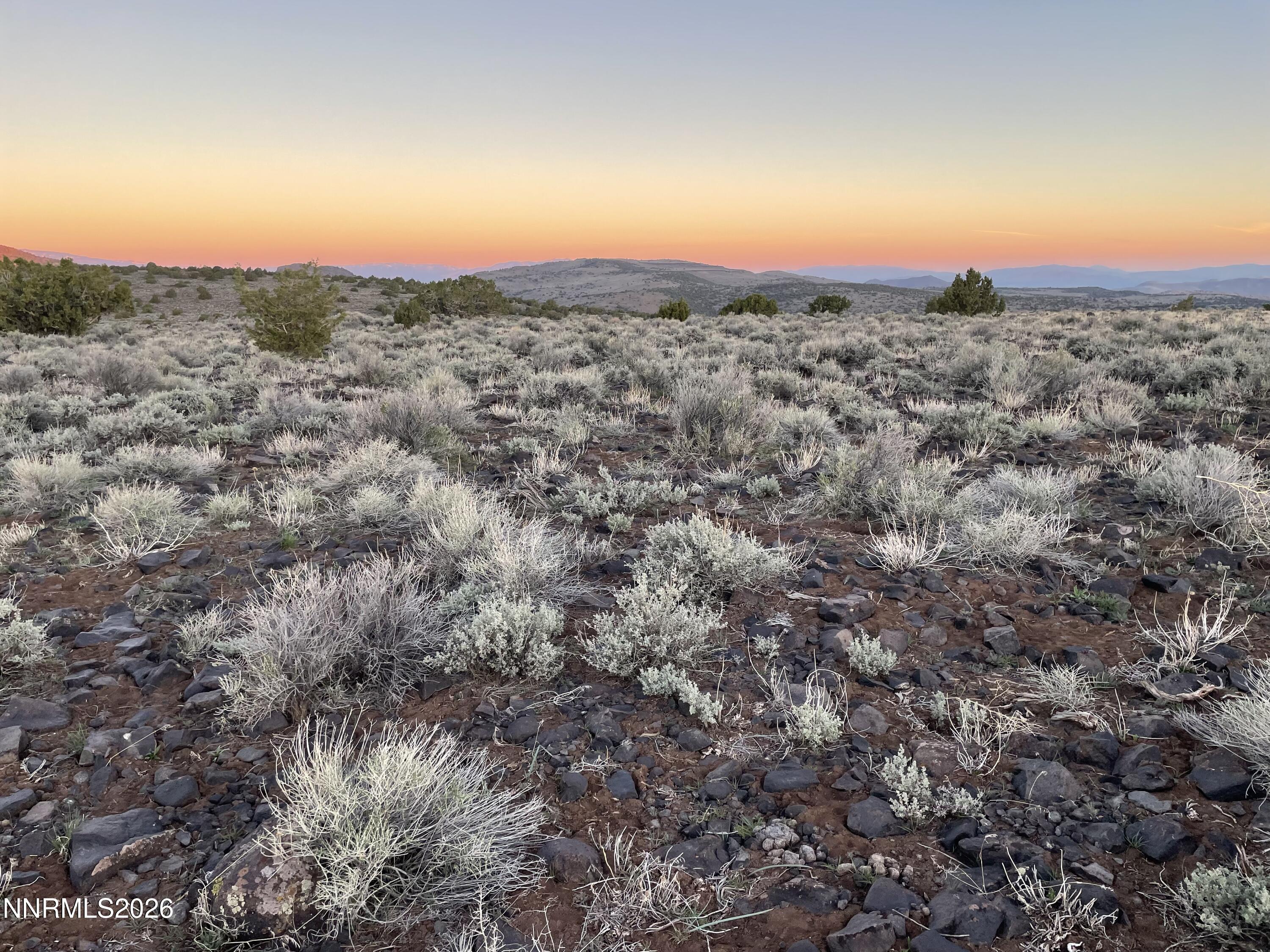 6600 Goldfield Road Reno, NV 89521 - Photo 21 of 23 a view of a mountain in the distance in a field
