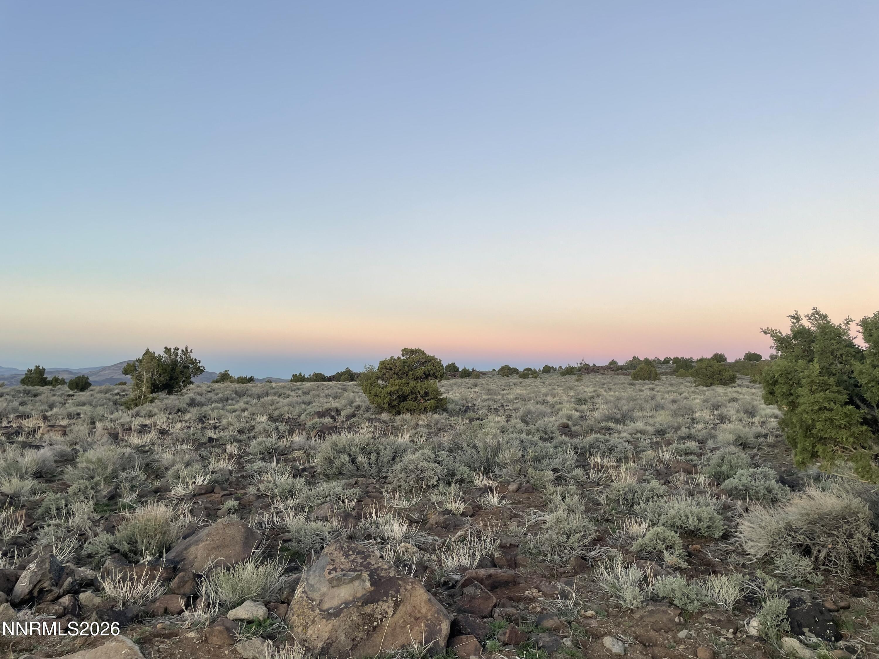 6600 Goldfield Road Reno, NV 89521 - Photo 3 of 23 a view of a dry field with trees in the background