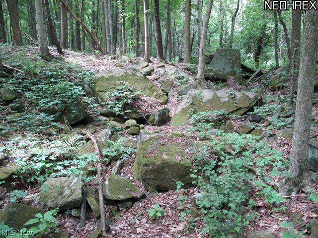 North Ridge Road Vermilion, OH 44089 - Photo 16 of 25