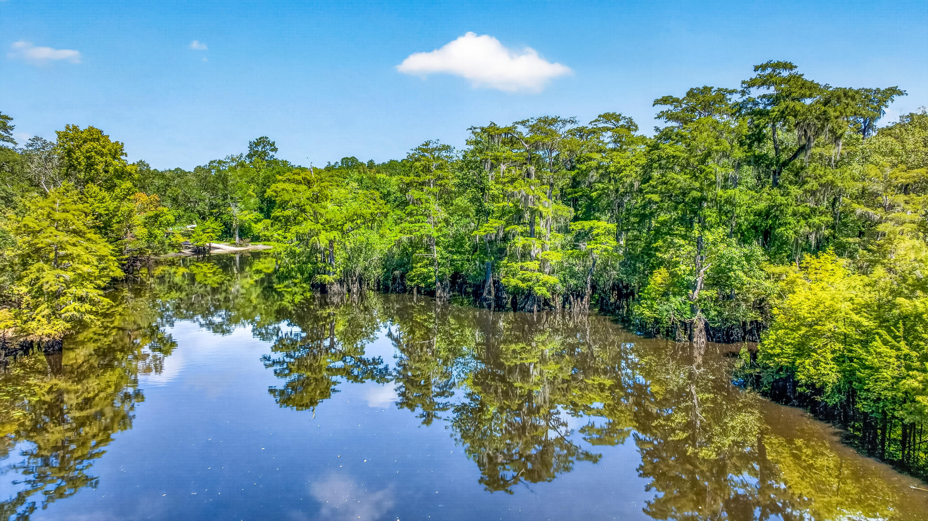 19-acres Potter Spring Road Vernon, FL 32462 - Photo 21 of 28 DJI_0217