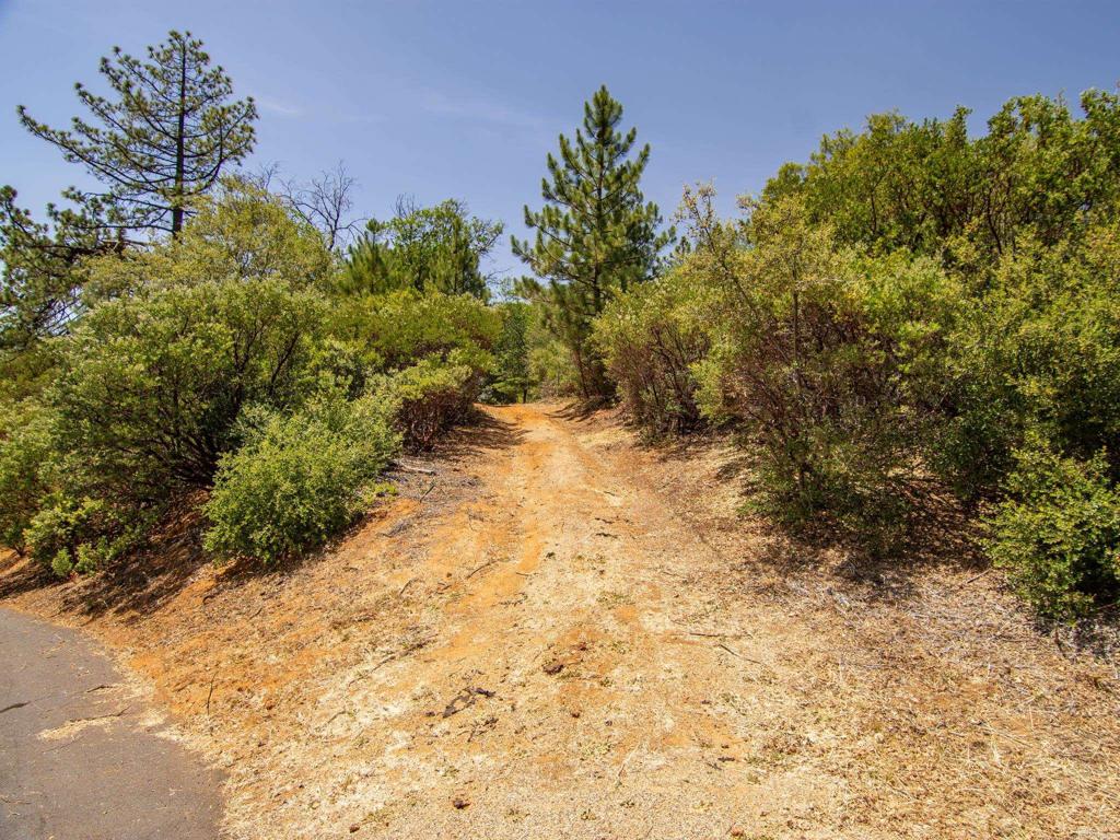 7 West Incense Cedar Road Julian, CA 92036 - Photo 7 of 24 a view of a yard with plants and trees