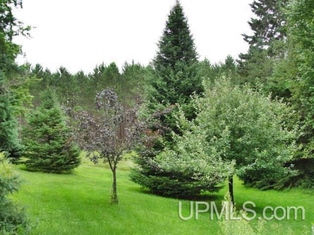 W9183 Co Road Pembine, WI 54156 - Photo 22 of 23