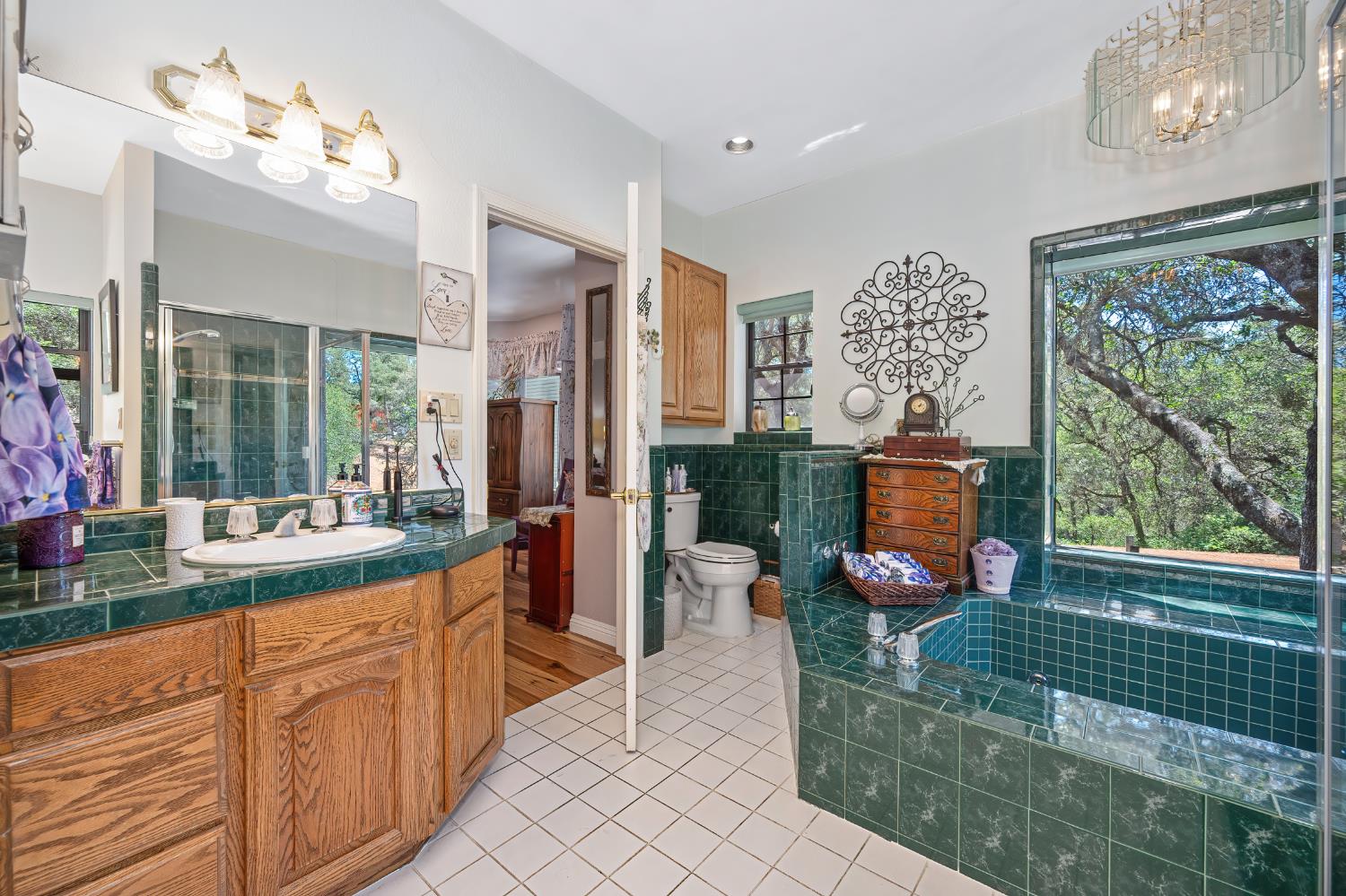 23234 Hidden Ranch Road Auburn, CA 95602 - Photo 41 of 81