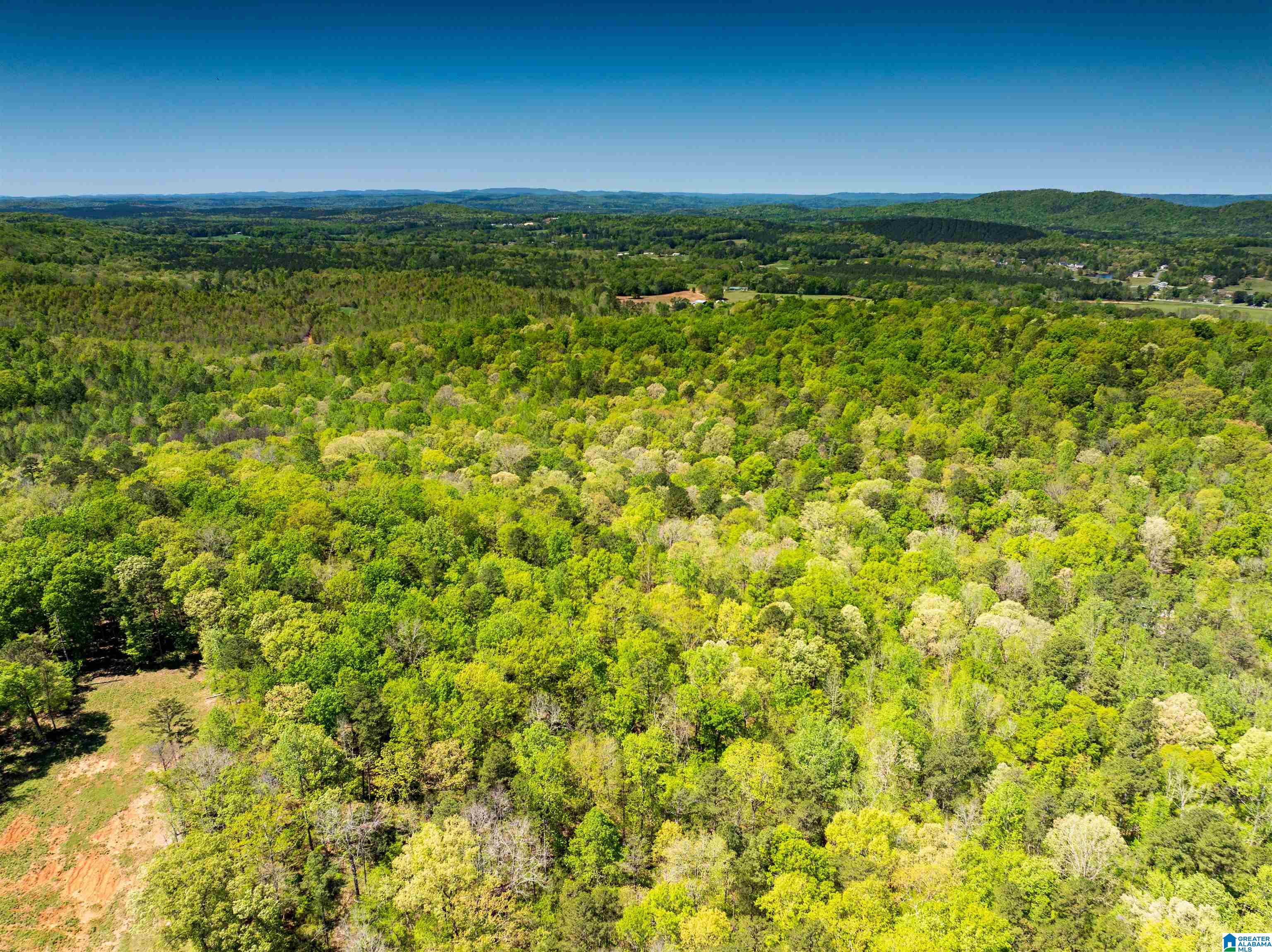 0 Pike Hill Road Ashville, AL 35953 - Photo 6 of 22