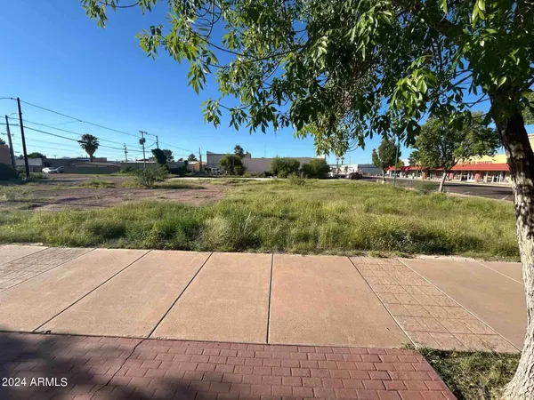 $100,000 | 825 North G Avenue, Unit 21, Douglas, AZ 85607