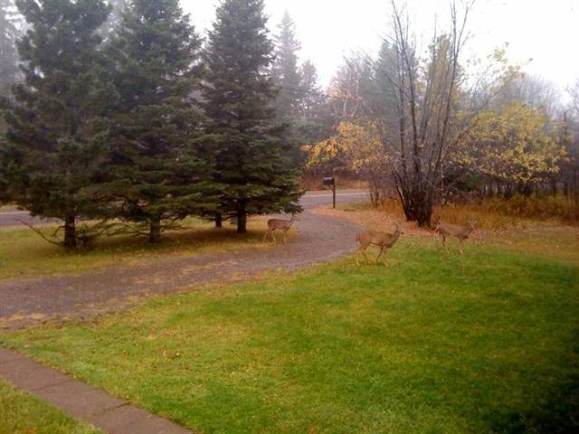 4423 Krueger Road Duluth, MN 55811 - Photo 9 of 9