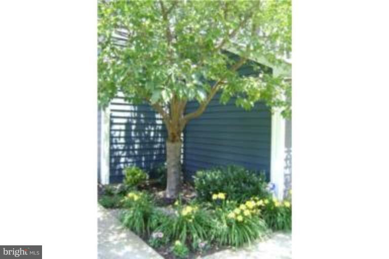 1024 Blackwell Road Annapolis, MD 21403 - Photo 5 of 20 Garden