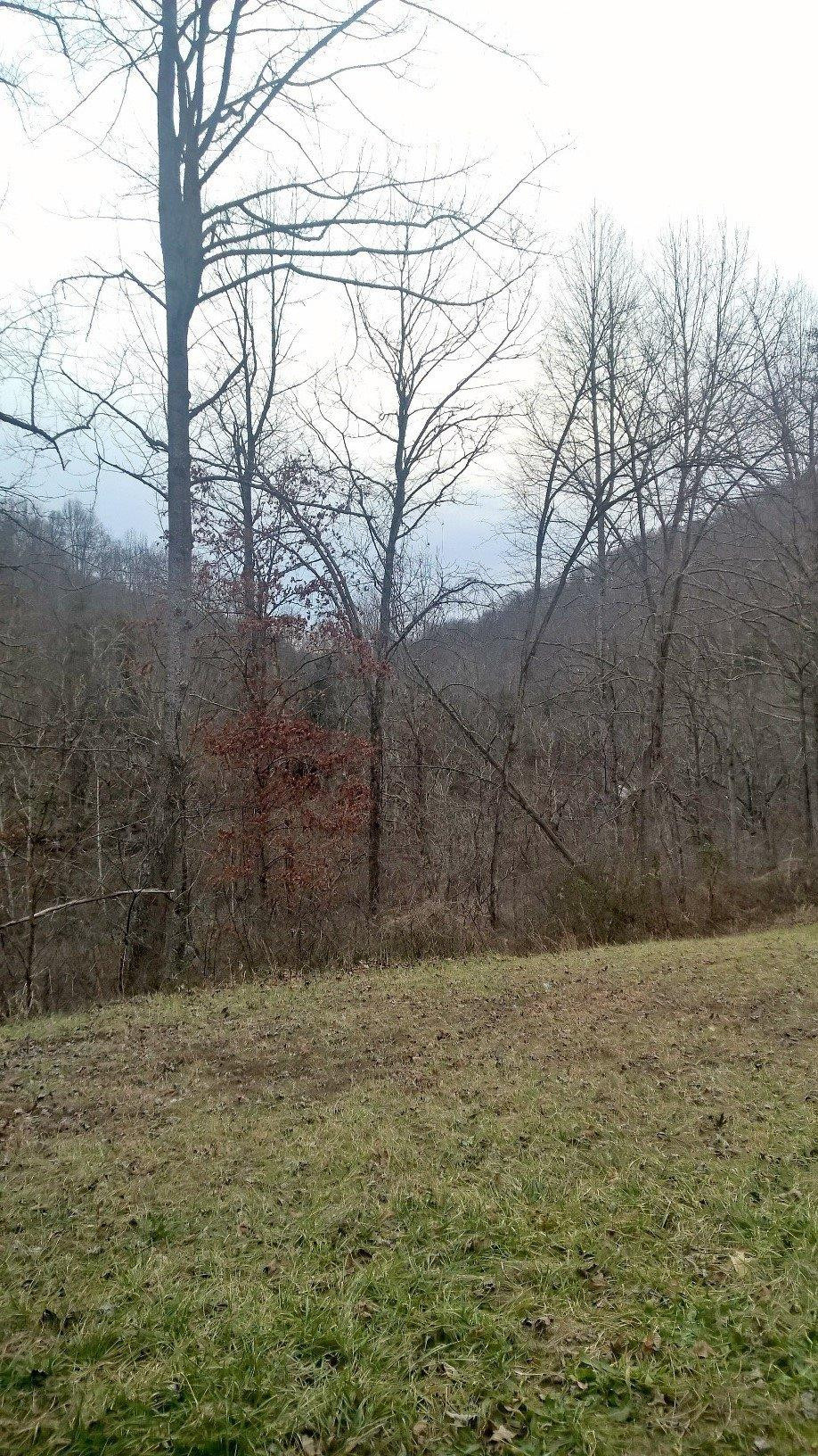 1456 Foxtown Road McKee, KY 40447 - Photo 17 of 19 Photo 18