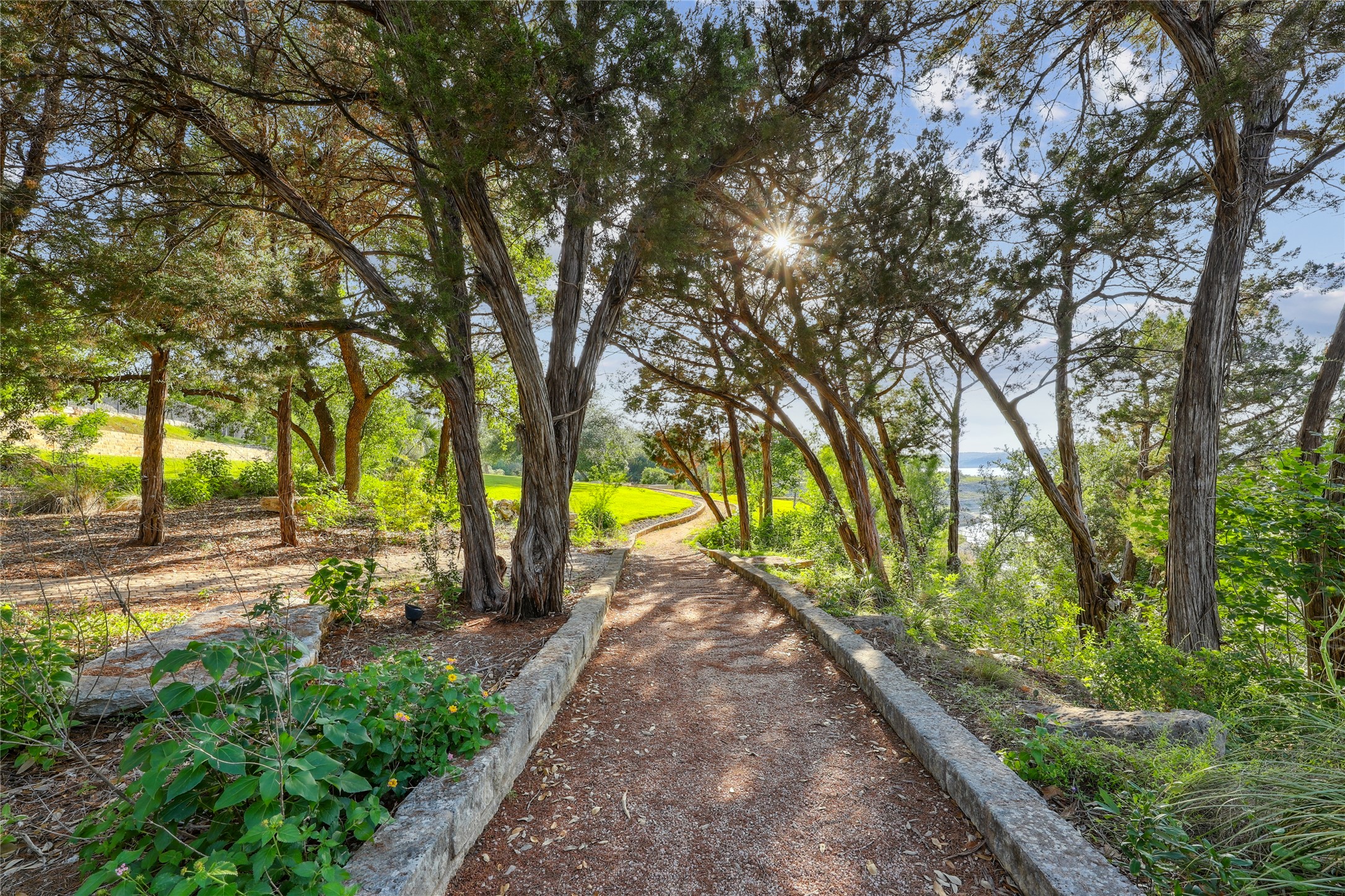 16010 Canard Circle Austin, TX 78734 - Photo 31 of 35 a view of a park with large trees