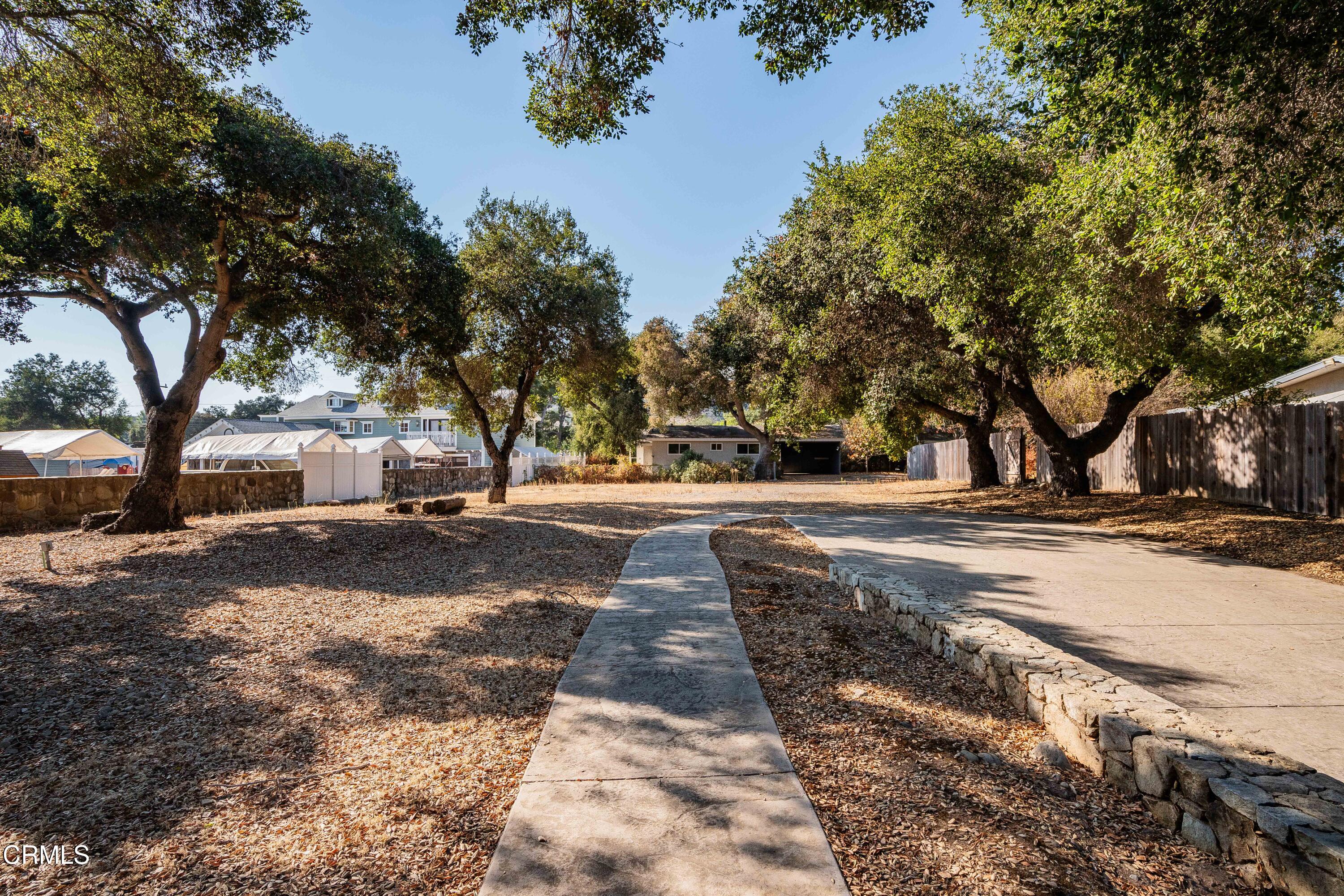 467 Riverside Road Oak View, CA 93022 - Photo 53 of 65 a view of road with trees