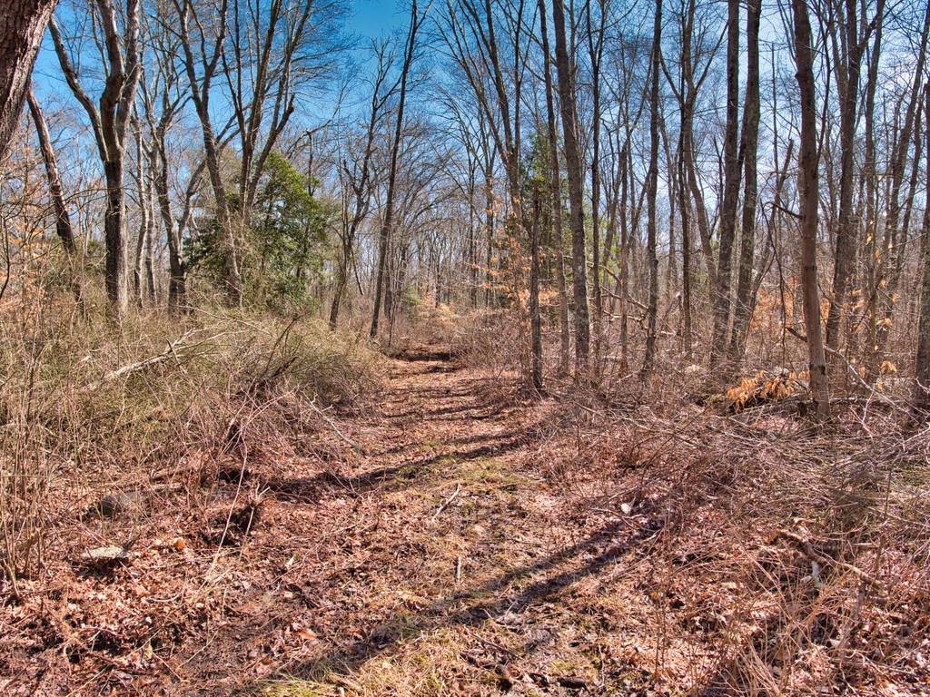 1880 Crandall Road Tiverton, RI 02878 - Photo 21 of 50 Gallery Image 21