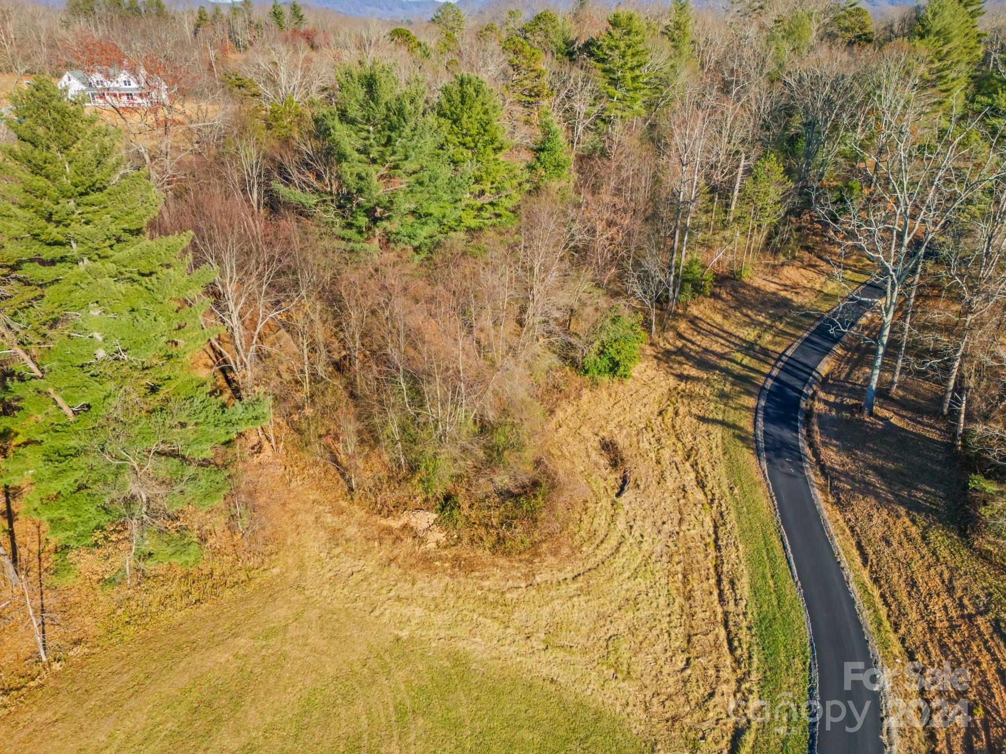 318 Terra Ridge Lane Fletcher, NC 28732 - Photo 3 of 7 Gallery Image 3