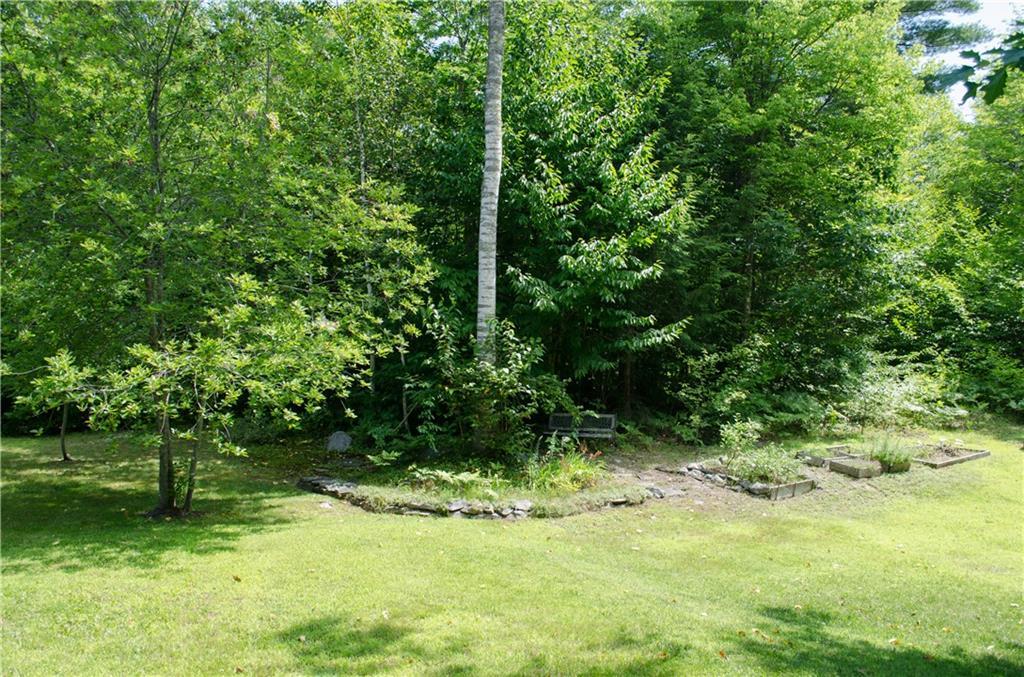 384 Plymouth Road Etna, ME 04434 - Photo 23 of 29 Side yard