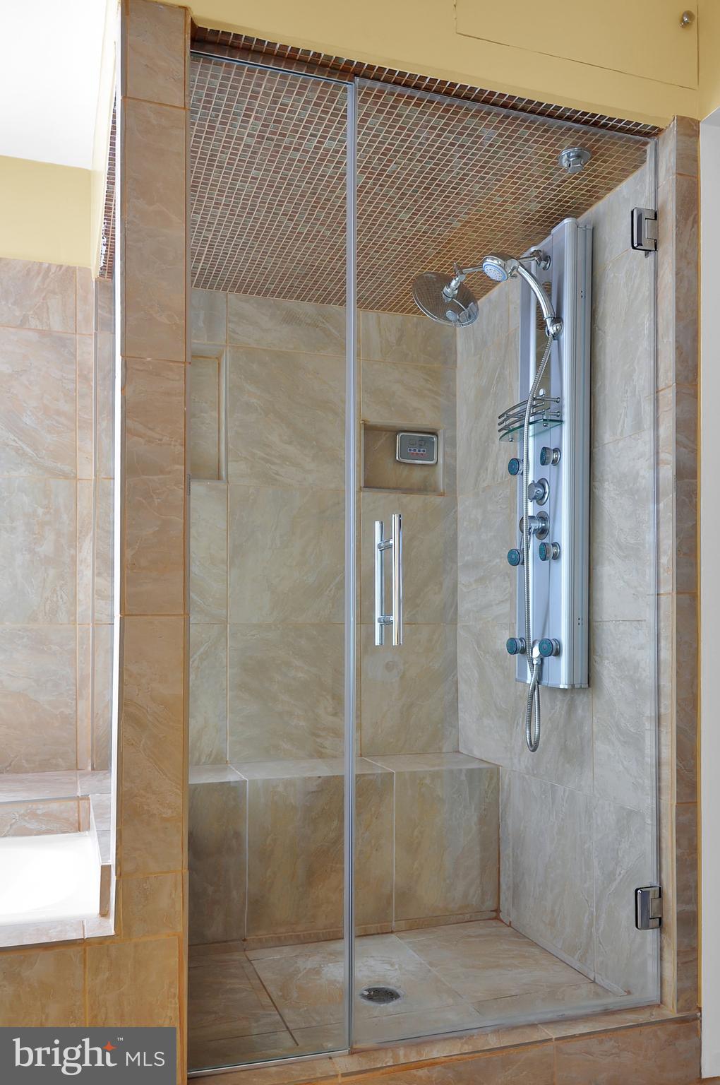 20907 Chippoaks Forest Circle Sterling, VA 20165 - Photo 27 of 71 Primary Bathroom Steam shower