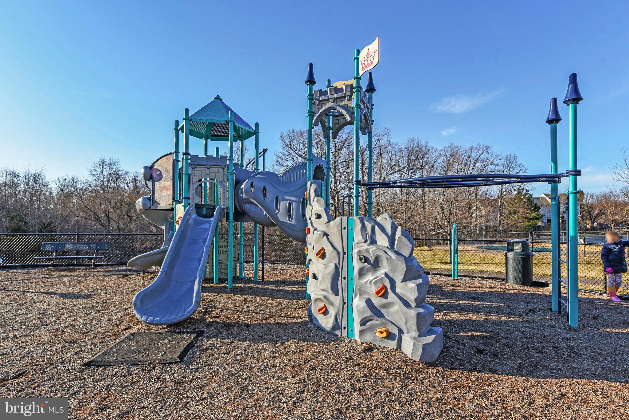20907 Chippoaks Forest Circle Sterling, VA 20165 - Photo 68 of 71 a view of a park with slide