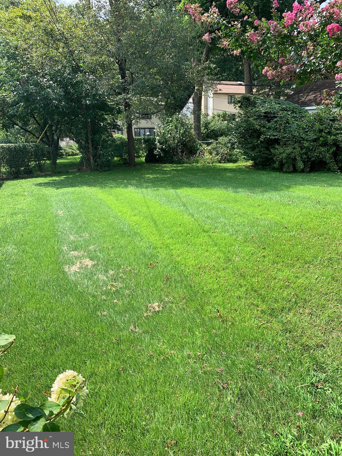 8500 Chippewa Road Philadelphia, PA 19128 - Photo 3 of 46
