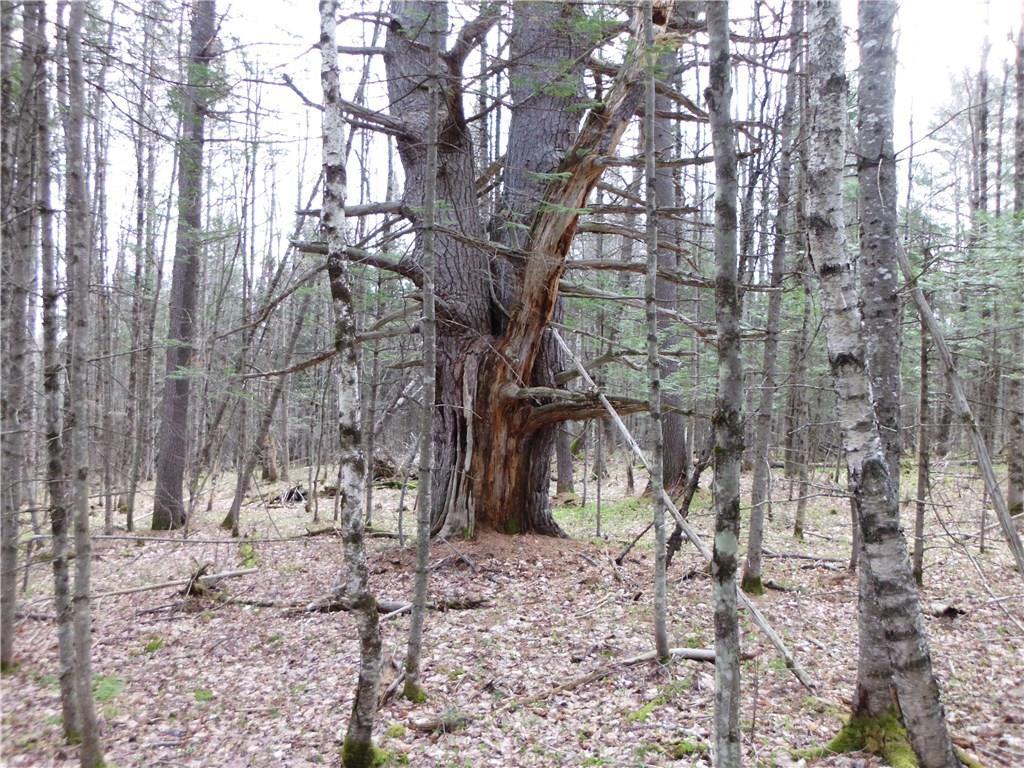 0 Mayhew Road Anson, ME 04911 - Photo 2 of 5 Photo