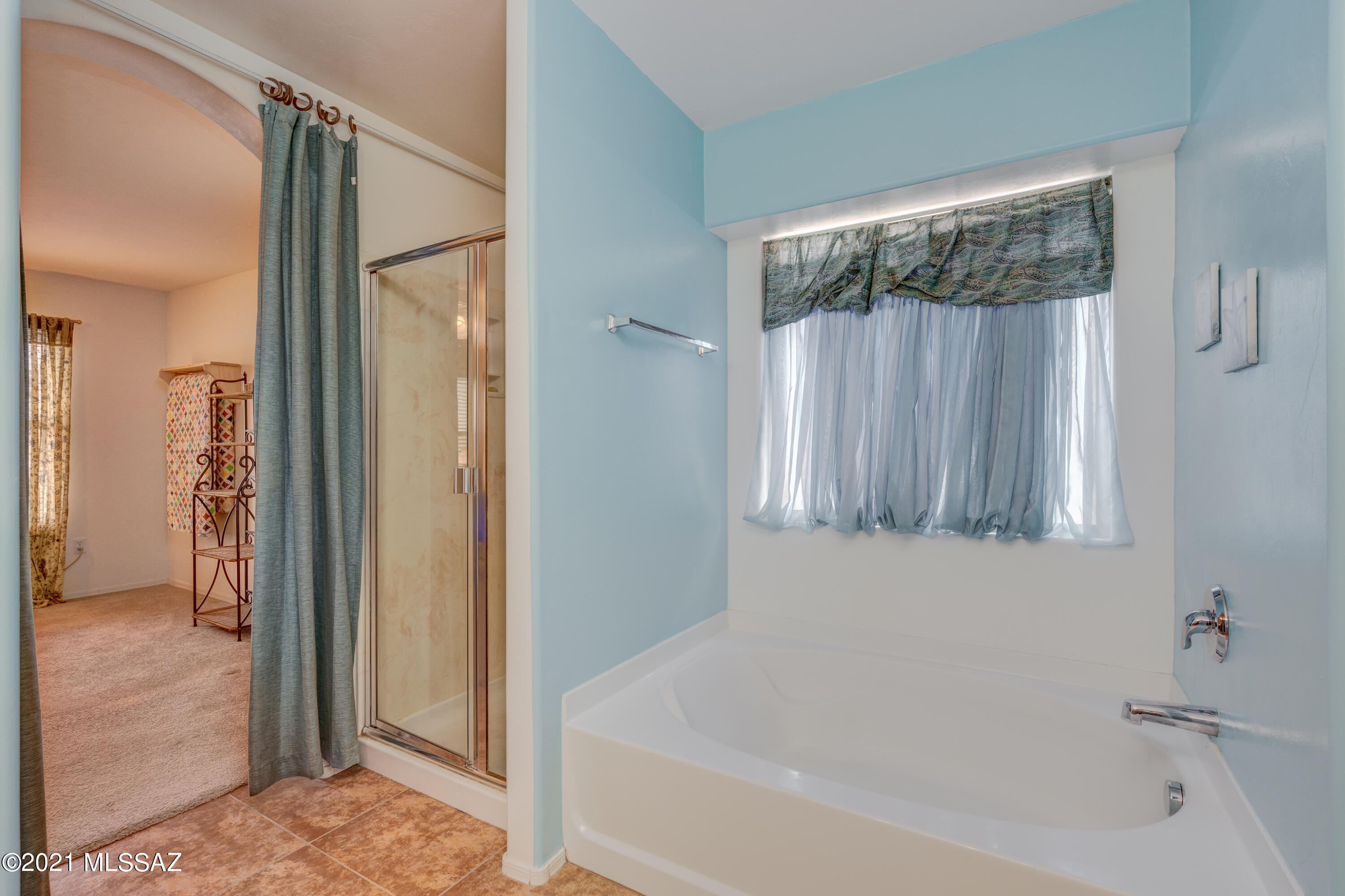 39131 Rodeo Buckle Drive Tucson, AZ 85739 - Photo 26 of 49