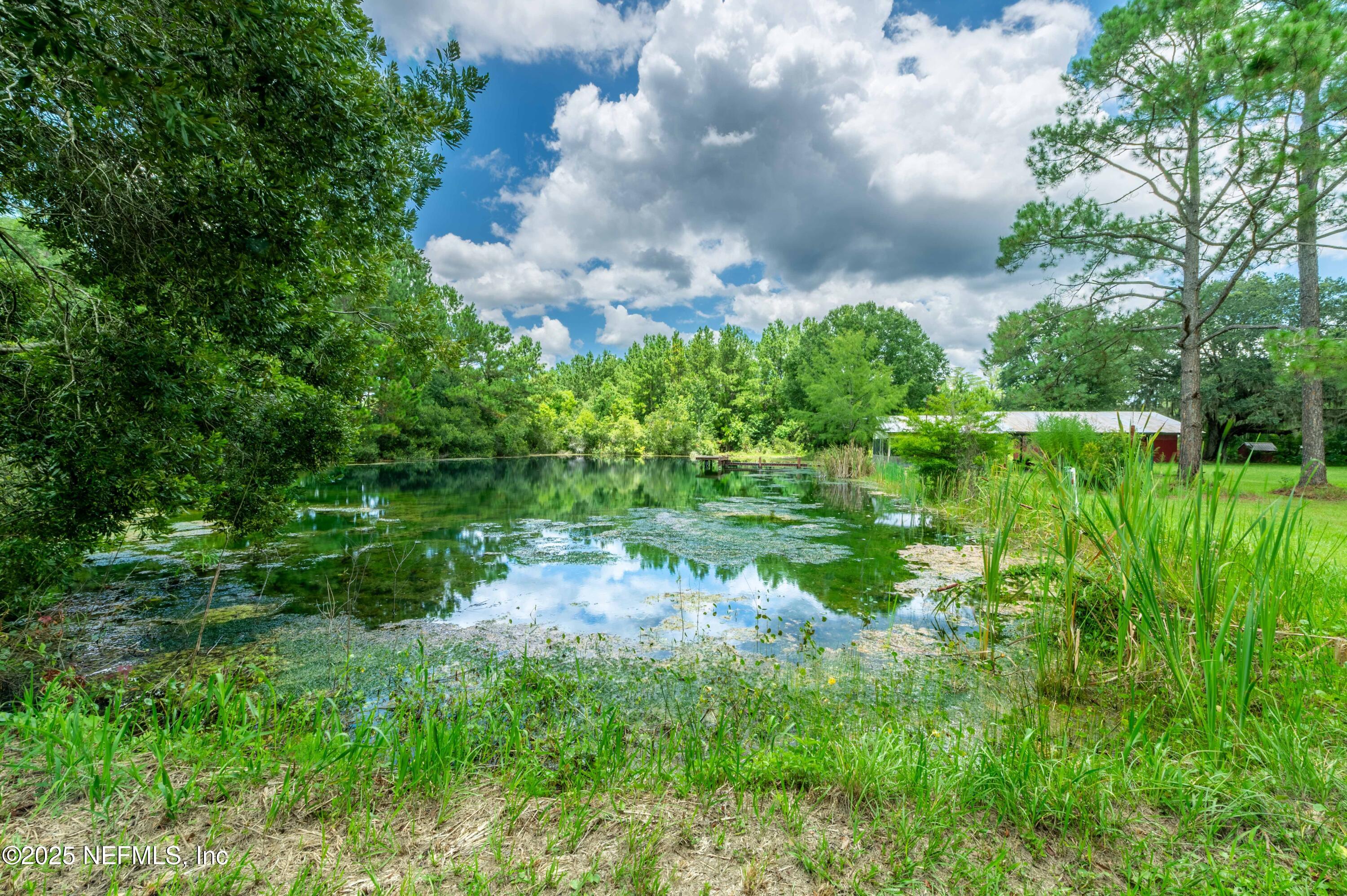 55289 Gressman Road Callahan, FL 32011 - Photo 5 of 62 2025_07_23 55289 Gressman Rd-13-pond