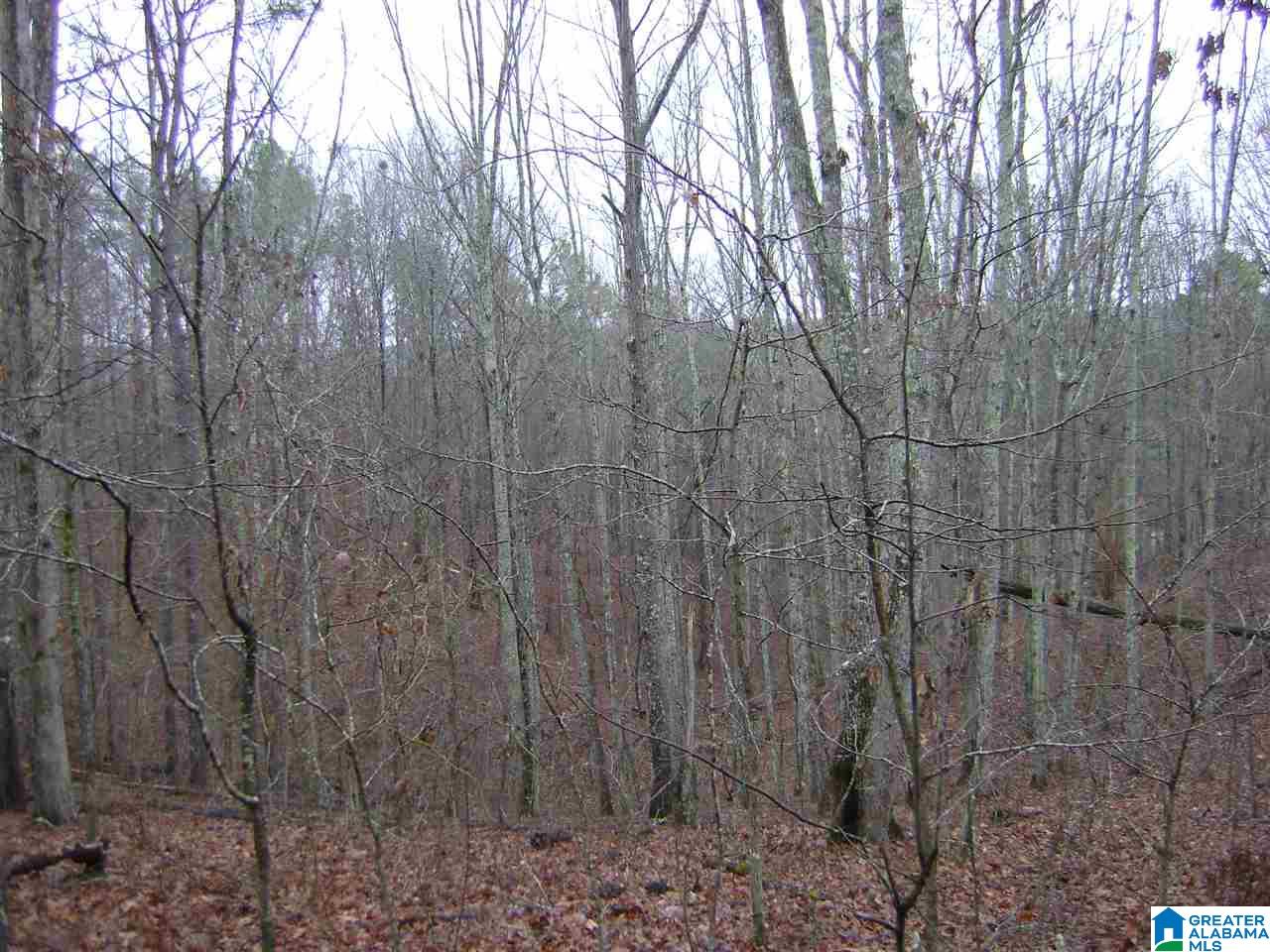 47586 Highway 25 Sterrett, AL 35147 - Photo 19 of 20