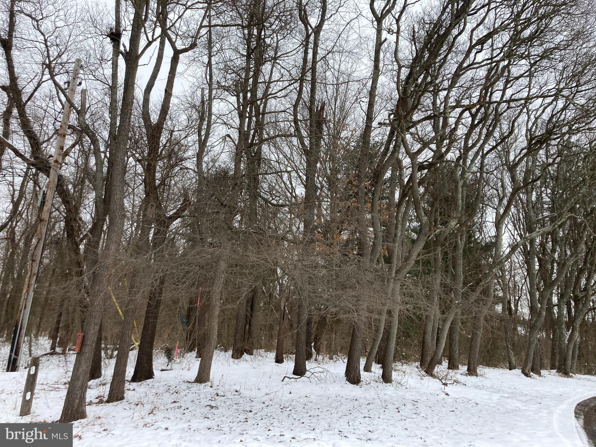 361-365 Creek Road Delran, NJ 08075 - Photo 1 of 2