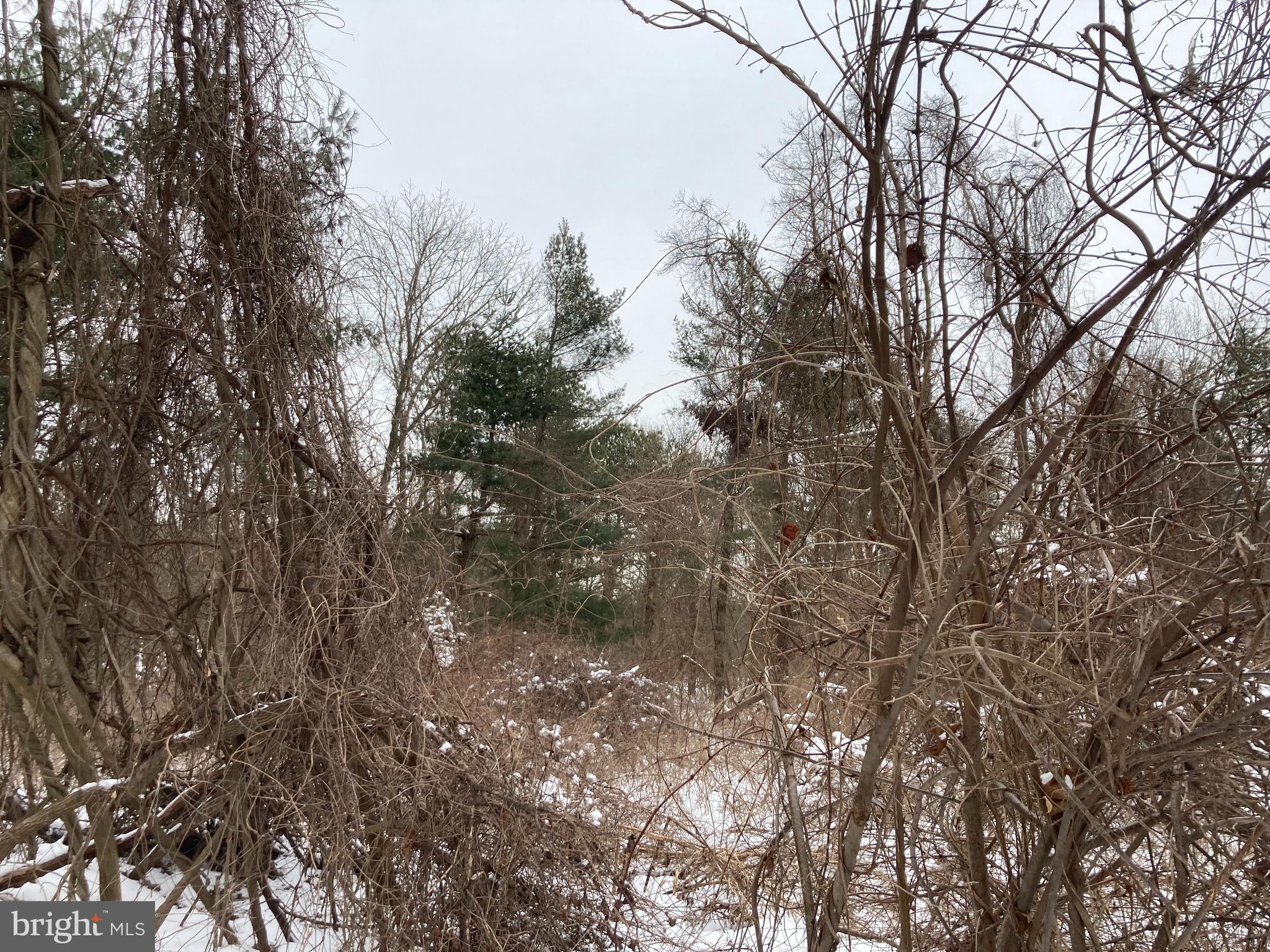 361-365 Creek Road Delran, NJ 08075 - Photo 2 of 2 FROM CREEK RD