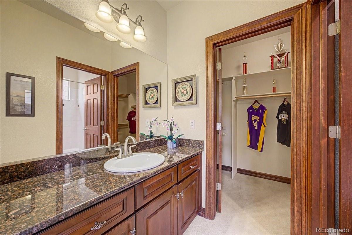 10492 Rivington Court Lone Tree, CO 80124 - Photo 25 of 50