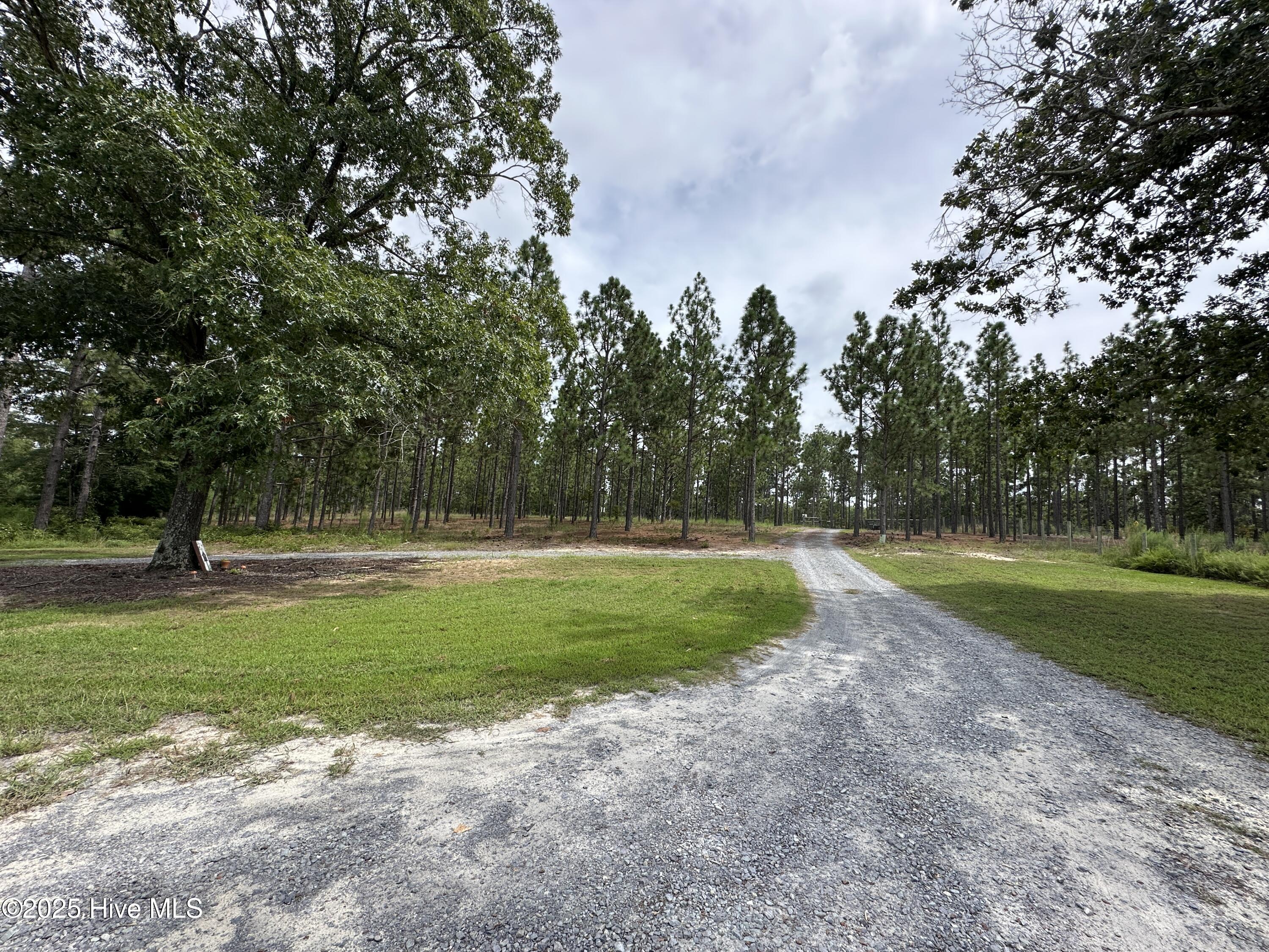 2004 Foxfire Road Jackson Springs, NC 27281 - Photo 56 of 68 Driveway to Foxfire Rd