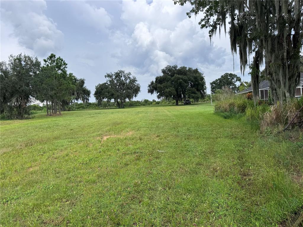 S Lake Frostproof, FL 33843 - Photo 4 of 13 a view of a field with plants and trees