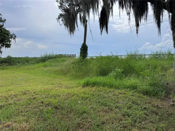 a view of green field