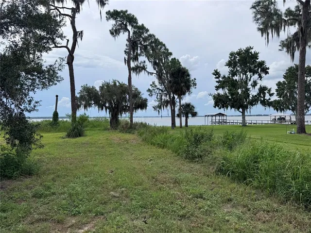 a view of a park with tree s