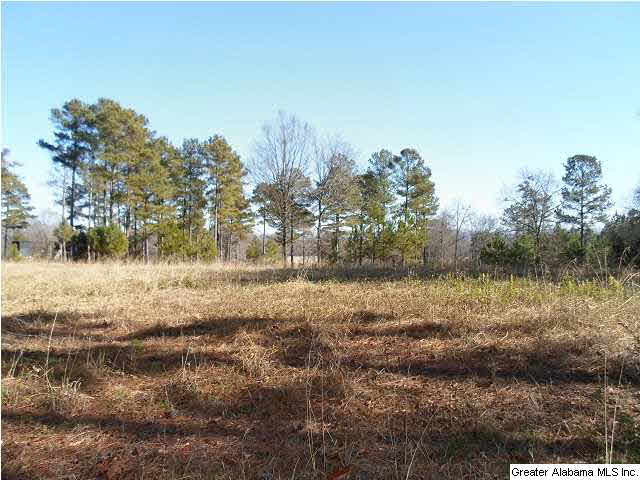 961 Airport Road, Unit 1 Eastaboga, AL 36260 - Photo 1 of 6